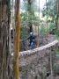 03Zipline - 08 * To get to the last course, you have to cross this suspension bridge (your harness is strapped into a cable for this too)